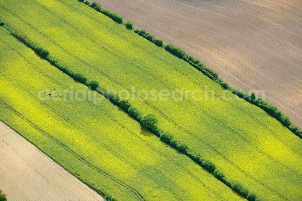 Aerial image Ratekau - Field landscape yellow flowering rapeseed flowers in Ratekau in the state Schleswig-Holstein