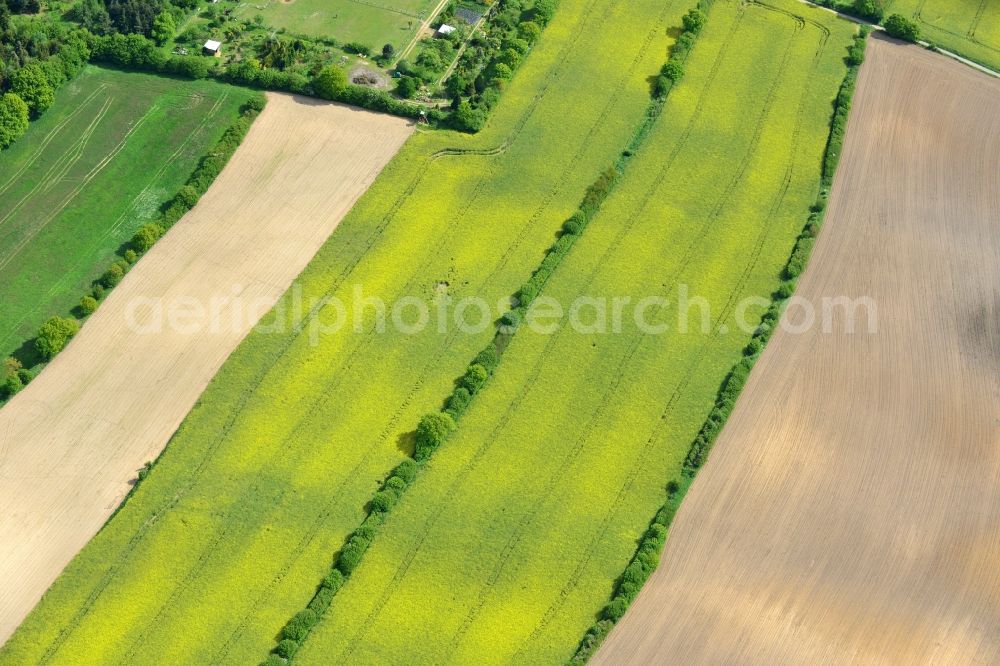 Ratekau from above - Field landscape yellow flowering rapeseed flowers in Ratekau in the state Schleswig-Holstein