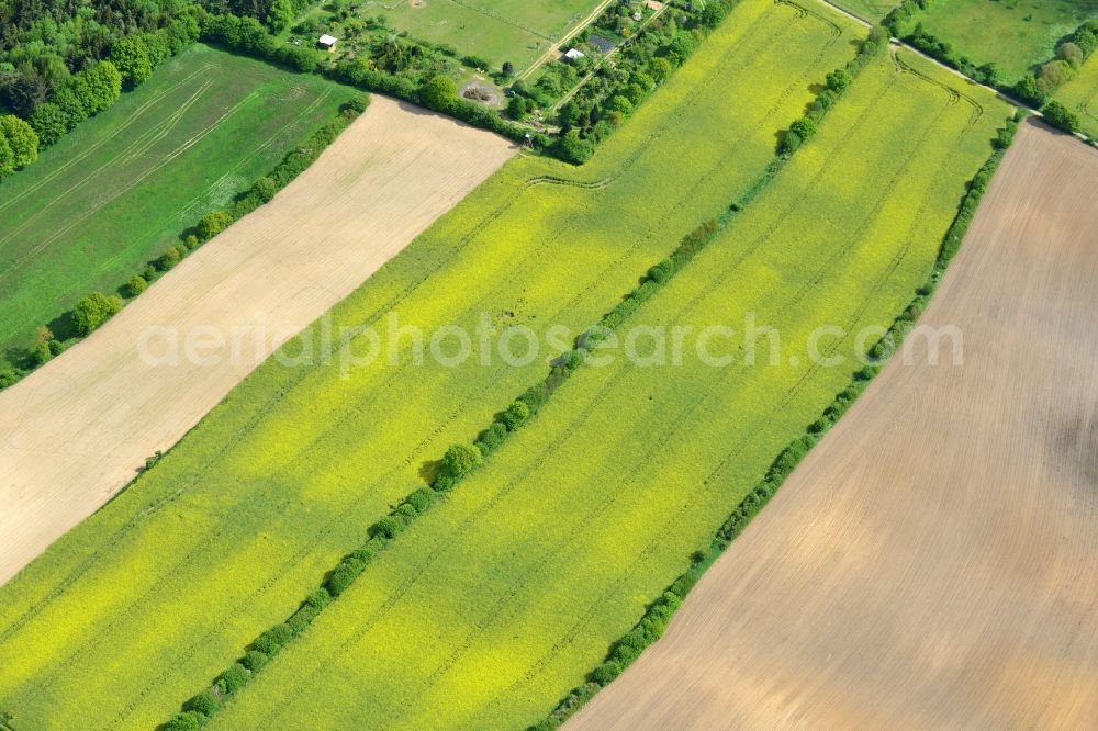 Ratekau from the bird's eye view: Field landscape yellow flowering rapeseed flowers in Ratekau in the state Schleswig-Holstein