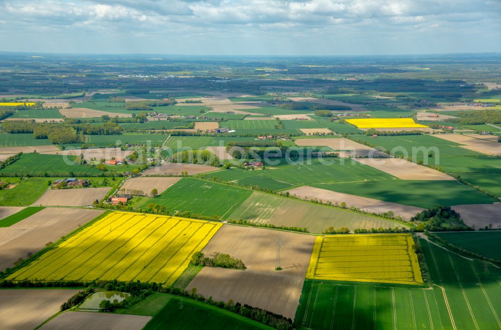 Rieth from above - Field landscape yellow flowering rapeseed flowers in Rieth in the state North Rhine-Westphalia, Germany