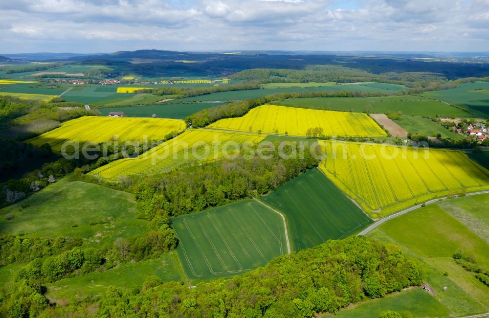 Aerial image Rosdorf - Field landscape yellow flowering rapeseed flowers in Rosdorf in the state Lower Saxony, Germany