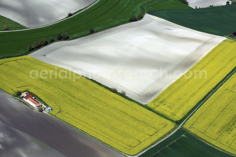 Saint-Antoine-Cumond from the bird's eye view: Field landscape yellow flowering rapeseed flowers in Saint-Antoine-Cumond in Aquitaine Limousin Poitou-Charentes, France