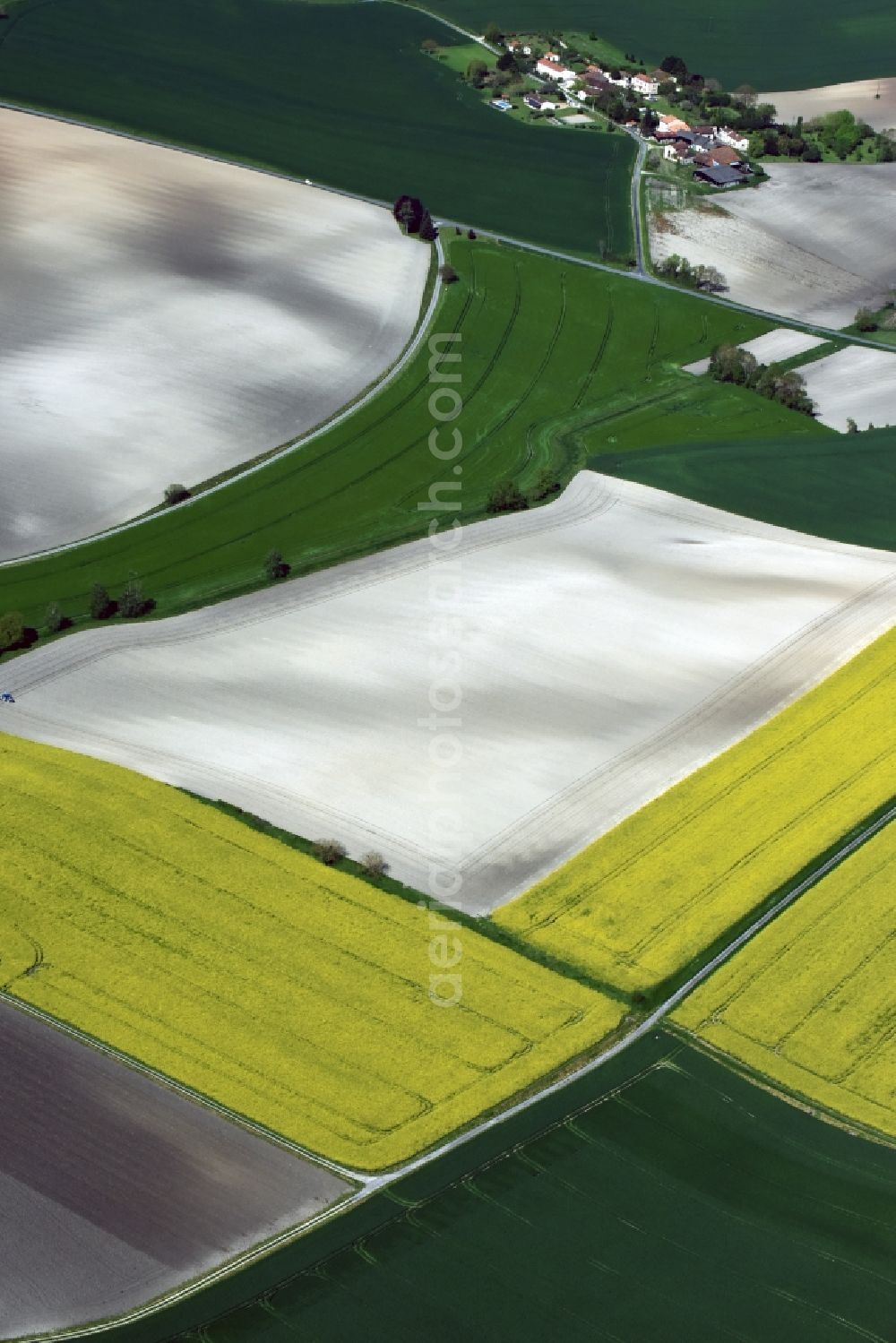 Aerial photograph Saint-Antoine-Cumond - Field landscape yellow flowering rapeseed flowers in Saint-Antoine-Cumond in Aquitaine Limousin Poitou-Charentes, France