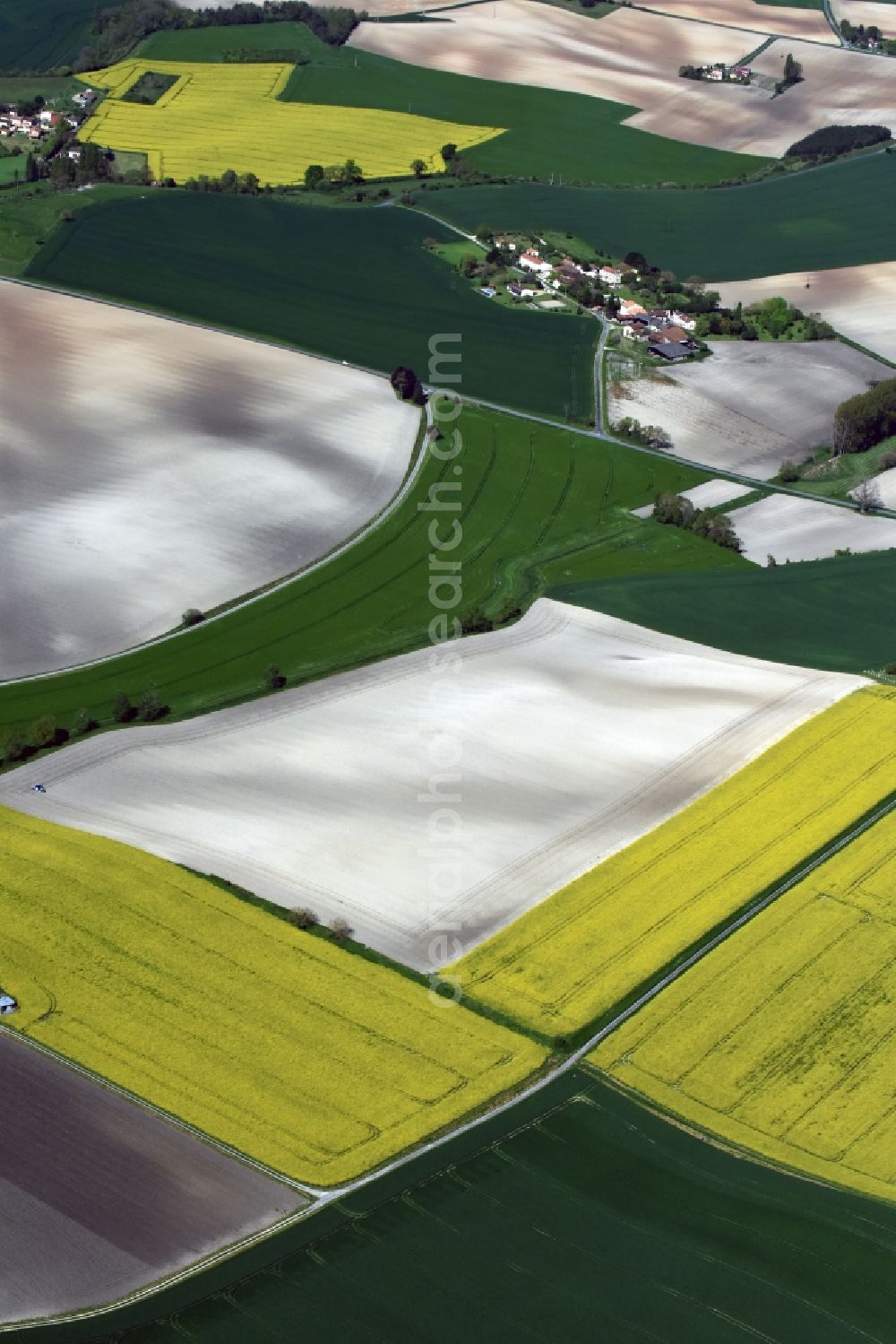 Saint-Antoine-Cumond from above - Field landscape yellow flowering rapeseed flowers in Saint-Antoine-Cumond in Aquitaine Limousin Poitou-Charentes, France