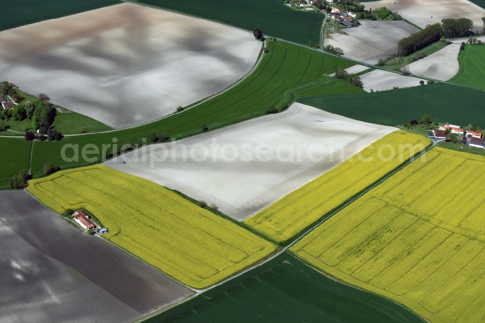 Saint-Antoine-Cumond from the bird's eye view: Field landscape yellow flowering rapeseed flowers in Saint-Antoine-Cumond in Aquitaine Limousin Poitou-Charentes, France