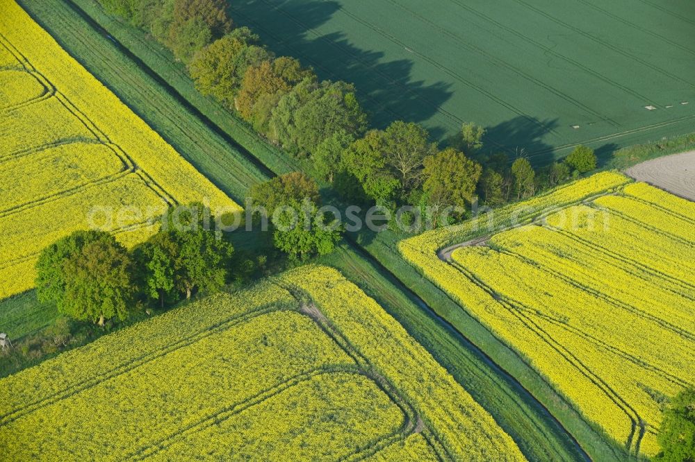 Aerial photograph Sanne-Kerkuhn - Field landscape yellow flowering rapeseed flowers in Sanne-Kerkuhn in the state Saxony-Anhalt, Germany