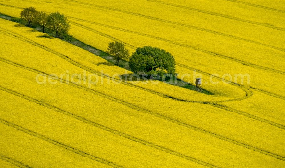 Südkirchen from above - Field landscape yellow flowering rapeseed flowers in Suedkirchen in the state North Rhine-Westphalia, Germany