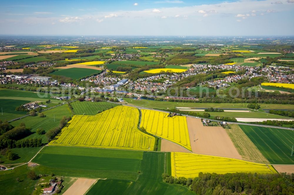 Sümmern from above - Field landscape yellow flowering rapeseed flowers in Suemmern in the state North Rhine-Westphalia, Germany