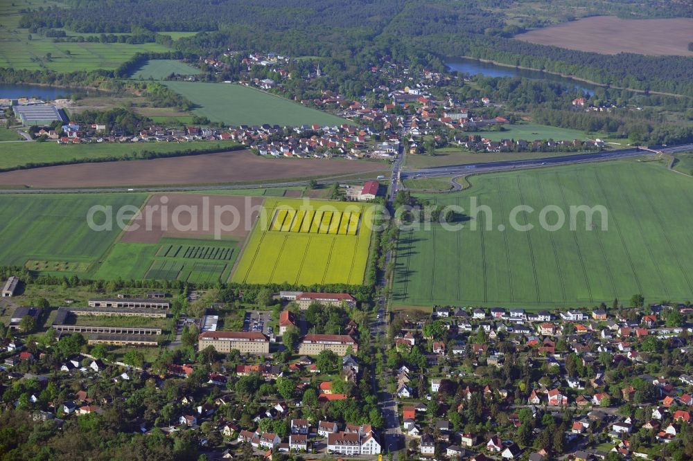 Stahnsdorf from above - Field landscape yellow flowering rapeseed flowers in Stahnsdorf in the state Brandenburg