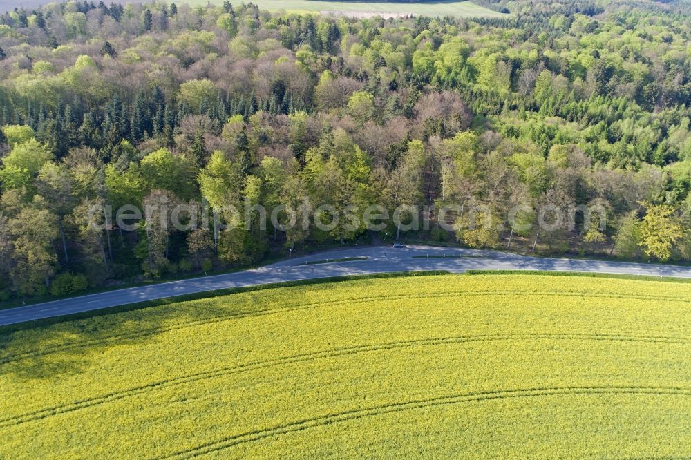 Thieshope from the bird's eye view: Field landscape yellow flowering rapeseed flowers in Thieshope in the state Lower Saxony, Germany