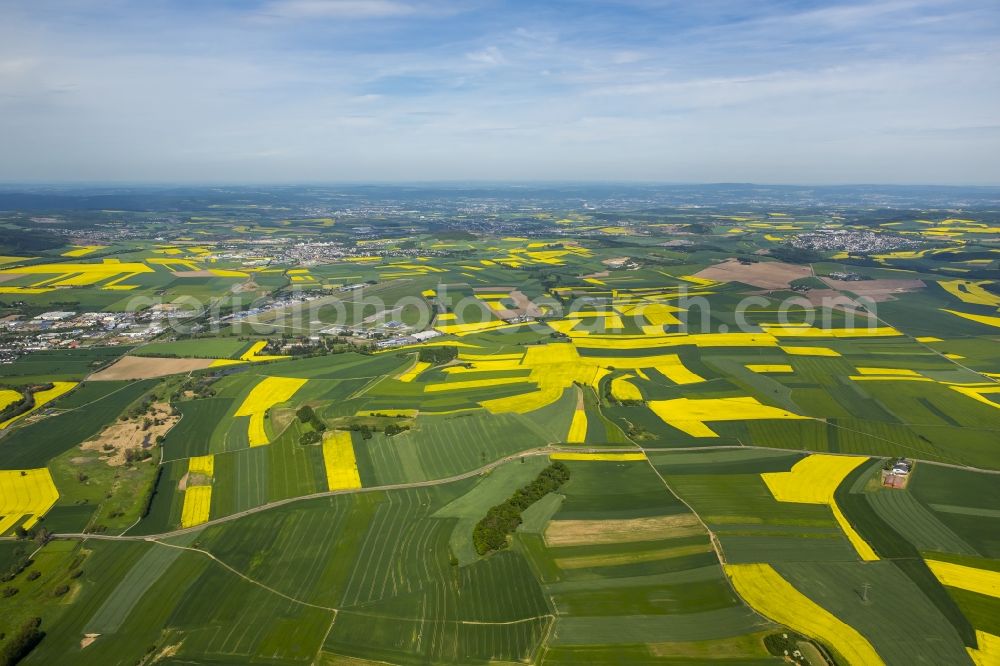 Aerial photograph Thür - Field landscape yellow flowering rapeseed flowers in Thuer in the state Rhineland-Palatinate