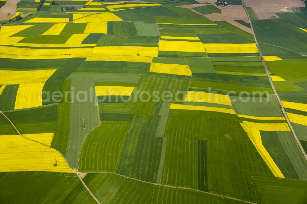 Thür from above - Field landscape yellow flowering rapeseed flowers in Thuer in the state Rhineland-Palatinate