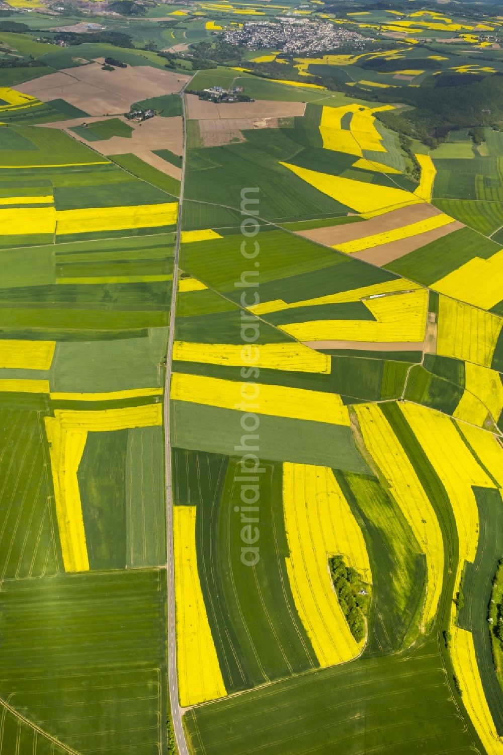 Thür from the bird's eye view: Field landscape yellow flowering rapeseed flowers in Thuer in the state Rhineland-Palatinate