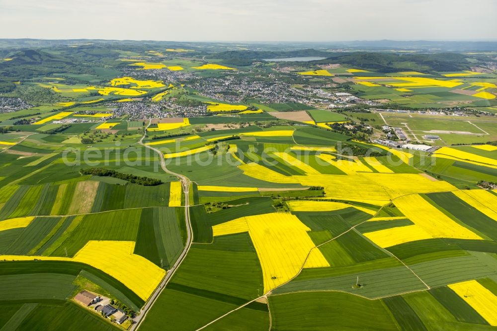 Aerial image Thür - Field landscape yellow flowering rapeseed flowers in Thuer in the state Rhineland-Palatinate