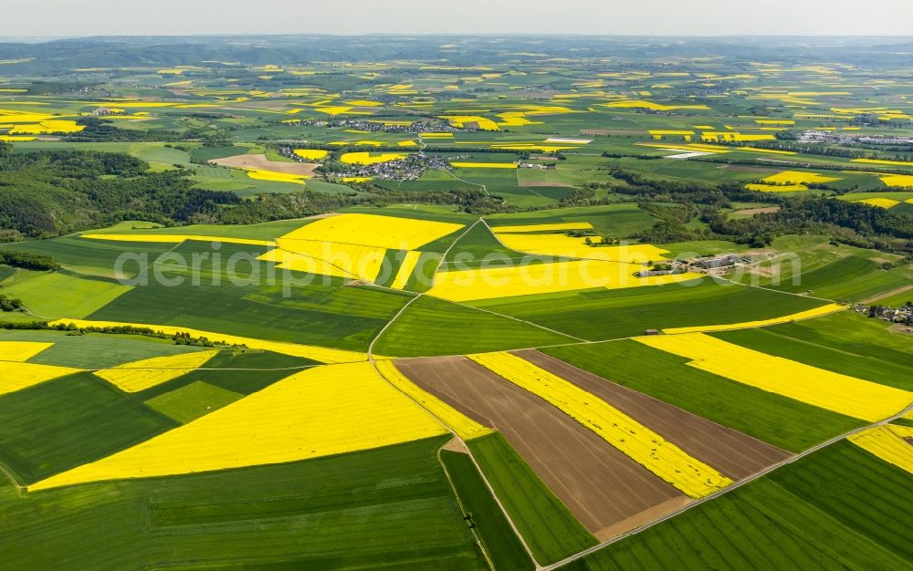 Aerial photograph Thür - Field landscape yellow flowering rapeseed flowers in Thuer in the state Rhineland-Palatinate