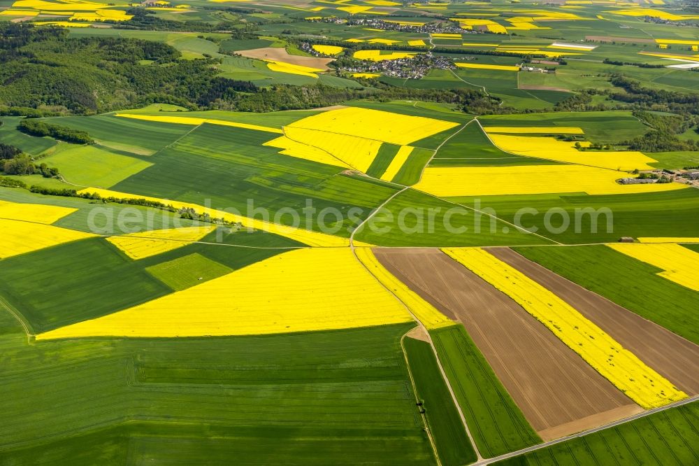 Thür from above - Field landscape yellow flowering rapeseed flowers in Thuer in the state Rhineland-Palatinate