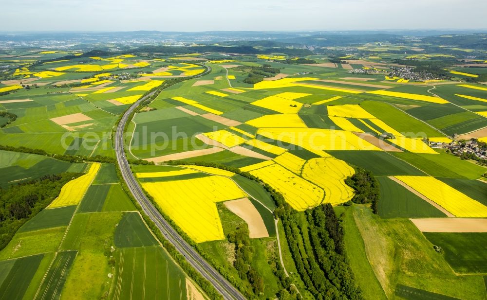 Aerial image Thür - Field landscape yellow flowering rapeseed flowers in Thuer in the state Rhineland-Palatinate