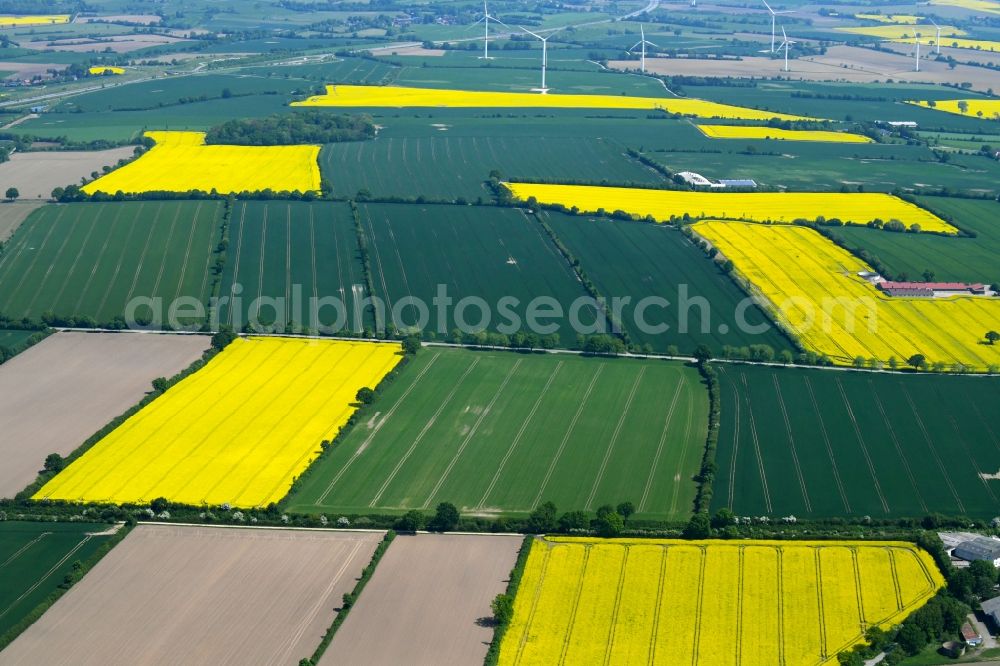 Aerial photograph Traventhal - Field landscape yellow flowering rapeseed flowers in Traventhal in the state Schleswig-Holstein, Germany