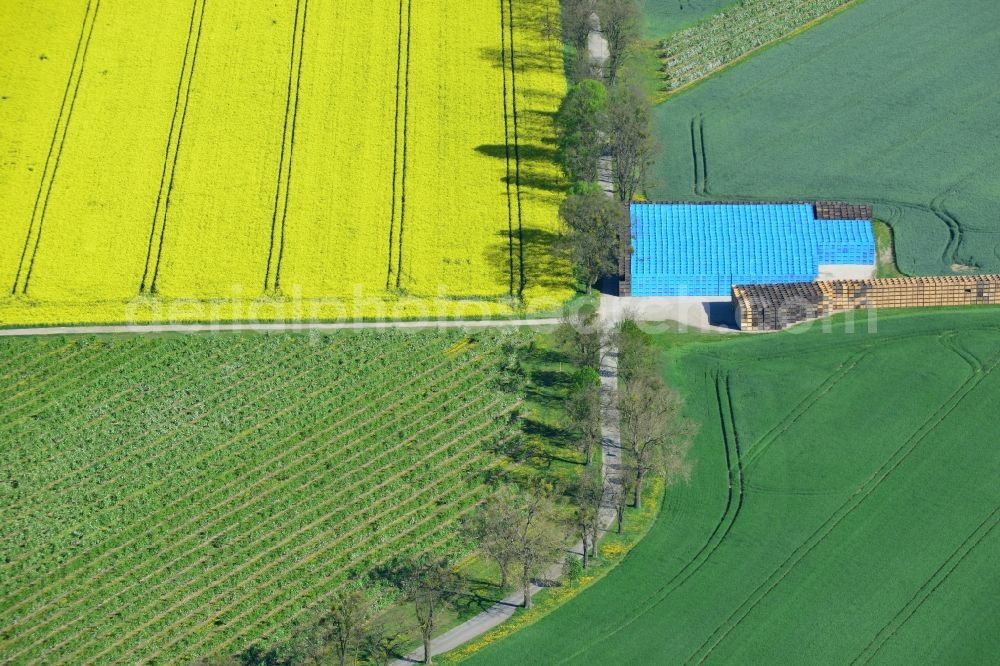 Aerial image Wesendahl - Field landscape yellow flowering rapeseed flowers on a country road with a pile of blue fruit boxes at Wesendahl in Brandenburg