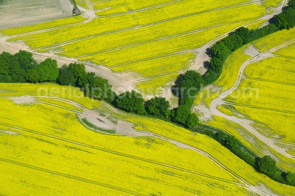 Aerial image Zarpen - Field landscape yellow flowering rapeseed flowers in Zarpen in the state Schleswig-Holstein, Germany