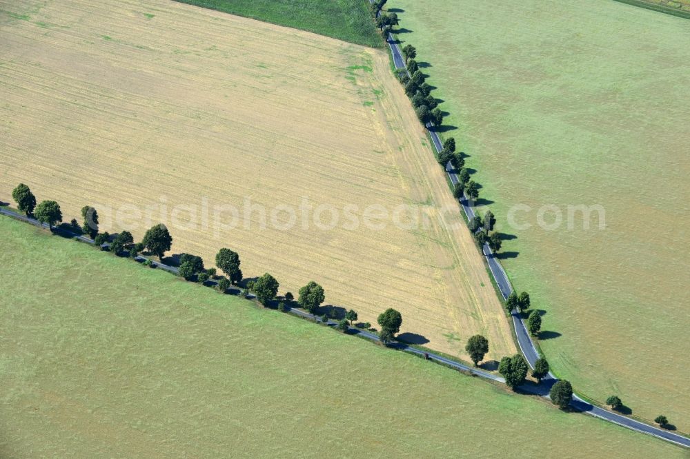 Linz from the bird's eye view: Field landscape with country road - road - fork near Linz in the state of Saxony in Germany