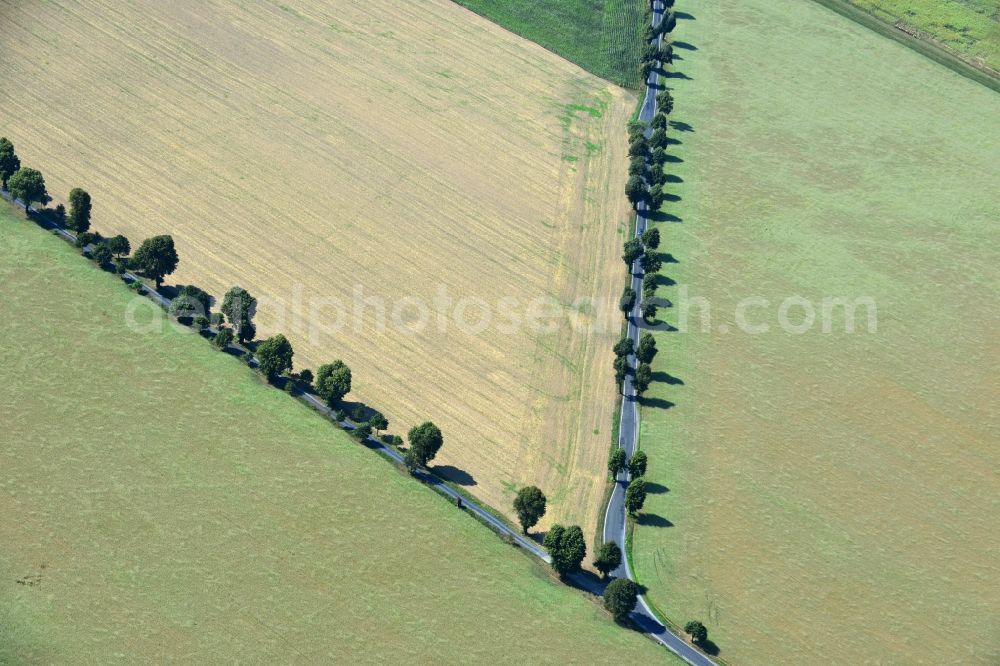 Aerial image Linz - Field landscape with country road - road - fork near Linz in the state of Saxony in Germany