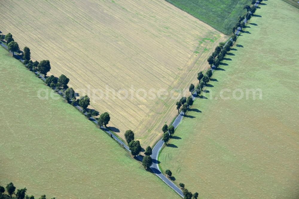 Linz from above - Field landscape with country road - road - fork near Linz in the state of Saxony in Germany