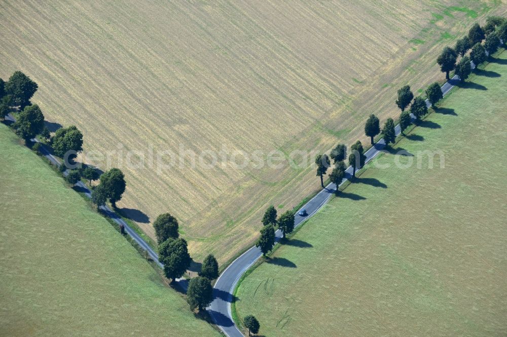 Linz from the bird's eye view: Field landscape with country road - road - fork near Linz in the state of Saxony in Germany