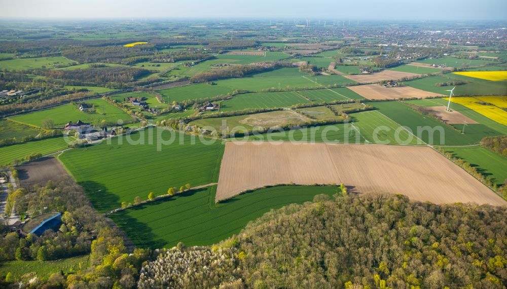 Hamm from above - Fields landscape and agriculture at the Heessener Forest in Hamm in the state of North Rhine-Westphalia