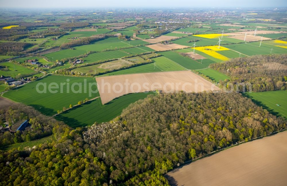 Hamm from the bird's eye view: Fields landscape and agriculture at the Heessener Forest in Hamm in the state of North Rhine-Westphalia