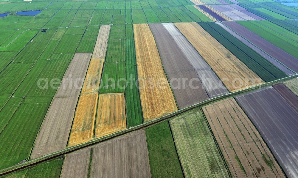 Aerial photograph Neuhaus (Oste) - Field - Landscape with agricultural structures in Neuhaus (Oste) in Lower Saxony