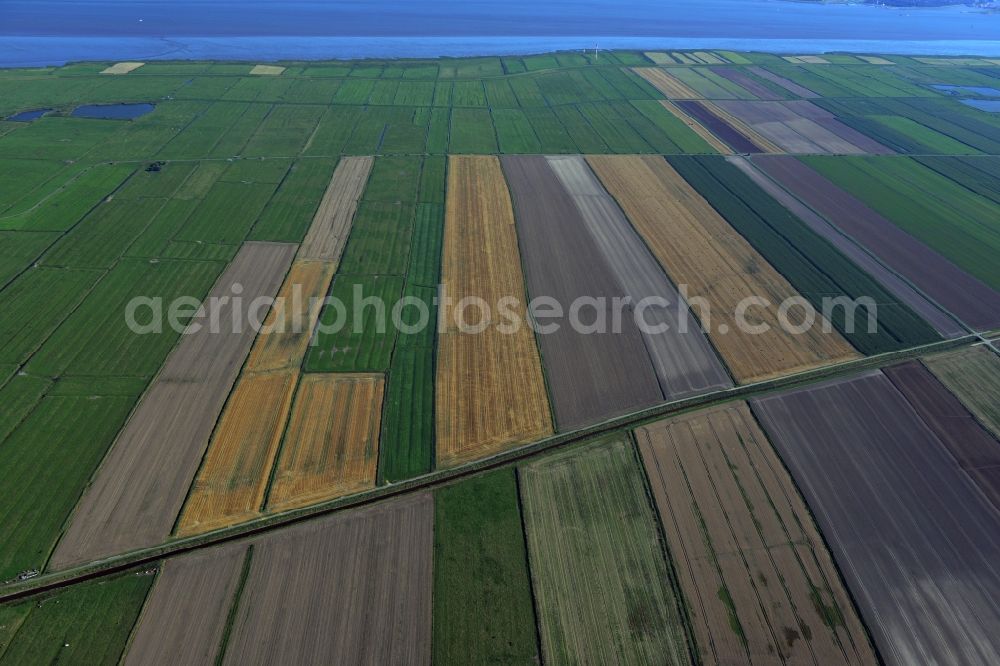 Neuhaus (Oste) from above - Field - Landscape with agricultural structures in Neuhaus (Oste) in Lower Saxony