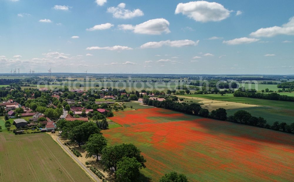 Friedersdorf from the bird's eye view: Field landscape of red blooming poppy flowers in Friedersdorf in the state Brandenburg, Germany