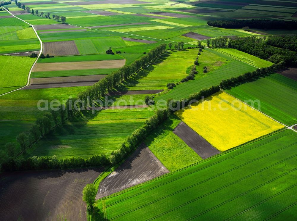 Bad Krozingen OT Hausen a. d. M from above - Field - structures - farmed landscape of farmland in Badenweiler in Baden-Württemberg BW