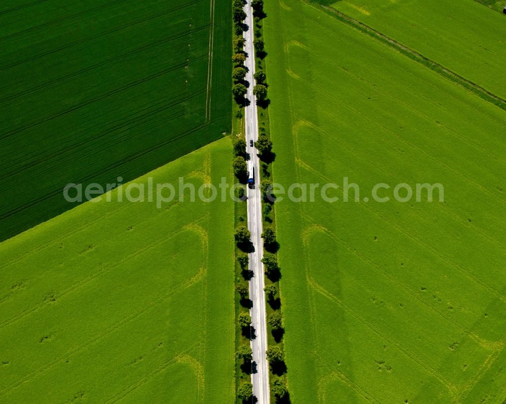 Bad Krozingen OT Hausen a. d. M from the bird's eye view: Field - structures - farmed landscape of farmland in Badenweiler in Baden-Württemberg BW