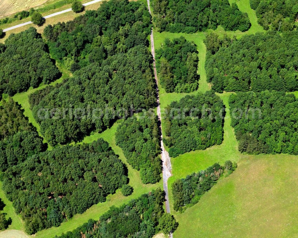 Aerial photograph Bad Krozingen OT Hausen a. d. M - Field - structures - farmed landscape of farmland in Badenweiler in Baden-Württemberg BW