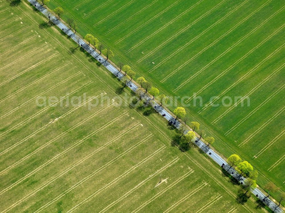 Bad Krozingen OT Hausen a. d. M from above - Field - structures - farmed landscape of farmland in Badenweiler in Baden-Württemberg BW