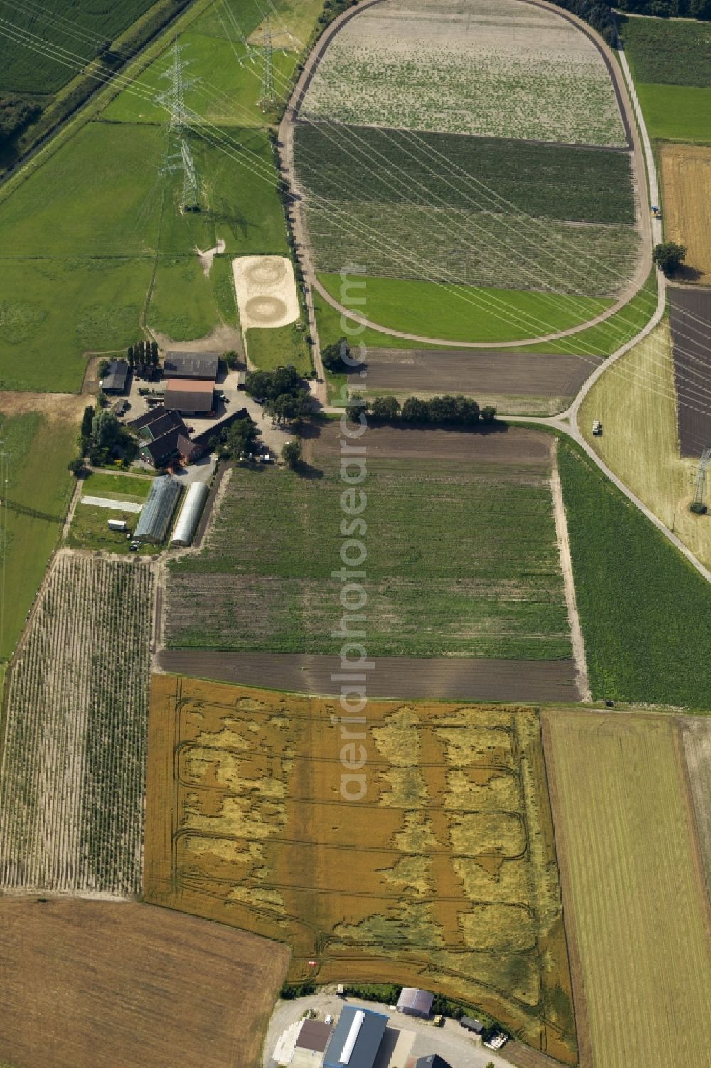 Datteln from the bird's eye view: Field structures and agricultural land near Datteln in North Rhine-Westphalia