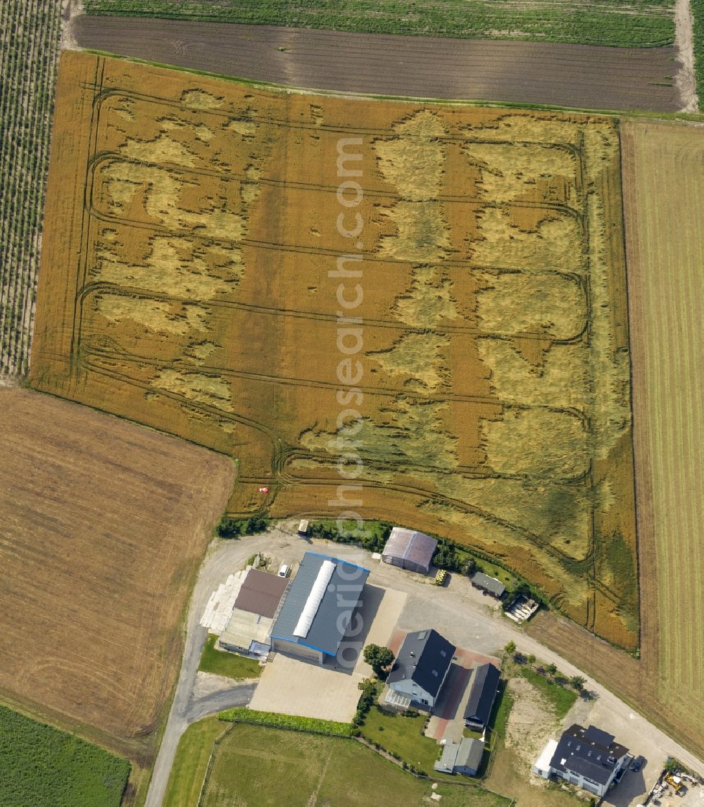 Aerial image Datteln - Field structures and agricultural land near Datteln in North Rhine-Westphalia