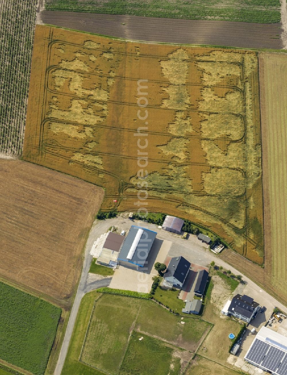 Aerial photograph Datteln - Field structures and agricultural land near Datteln in North Rhine-Westphalia