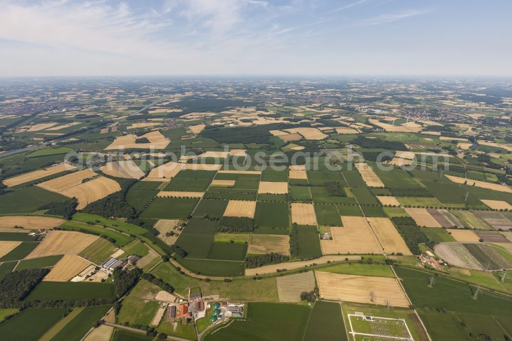 Datteln from above - Field structures and agricultural land near Datteln in North Rhine-Westphalia