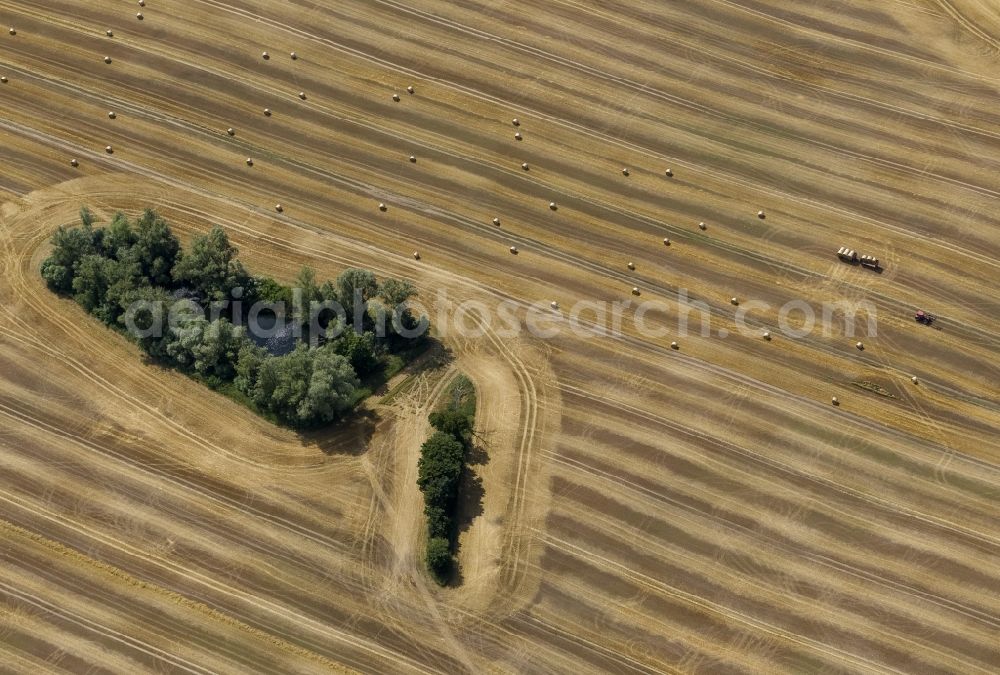 Aerial photograph Dettmannsdorf - Field - structures on harvested fields in late summer Dettmannsdorf in Mecklenburg-Western Pomerania