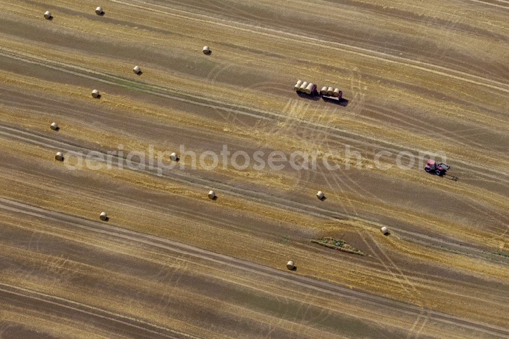 Dettmannsdorf from above - Field - structures on harvested fields in late summer Dettmannsdorf in Mecklenburg-Western Pomerania