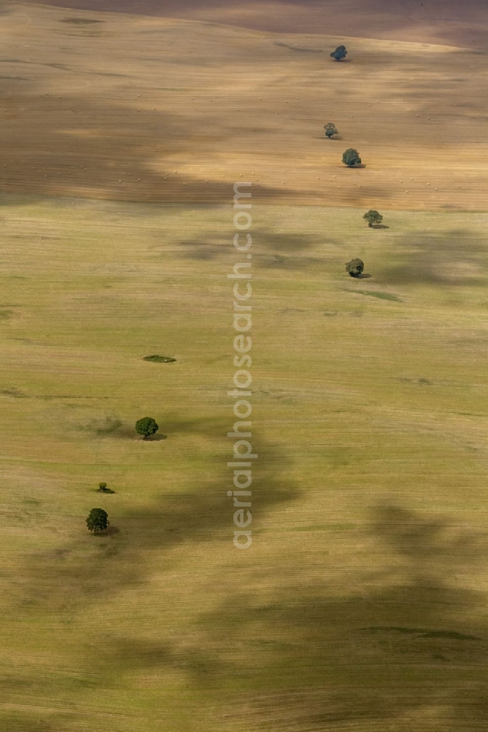 Dettmannsdorf from the bird's eye view: Field - structures on harvested fields in late summer Dettmannsdorf in Mecklenburg-Western Pomerania