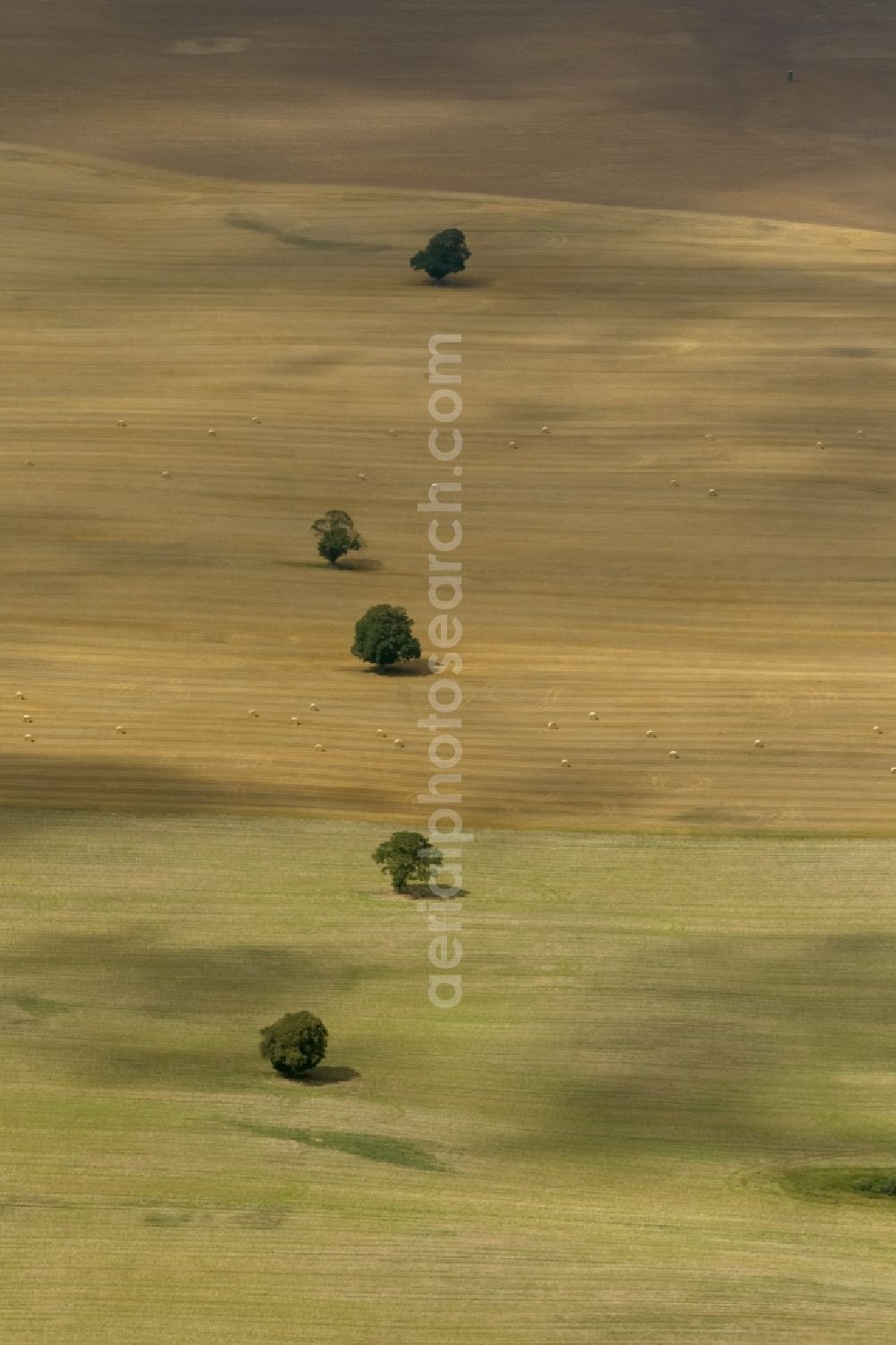 Aerial image Dettmannsdorf - Field - structures on harvested fields in late summer Dettmannsdorf in Mecklenburg-Western Pomerania