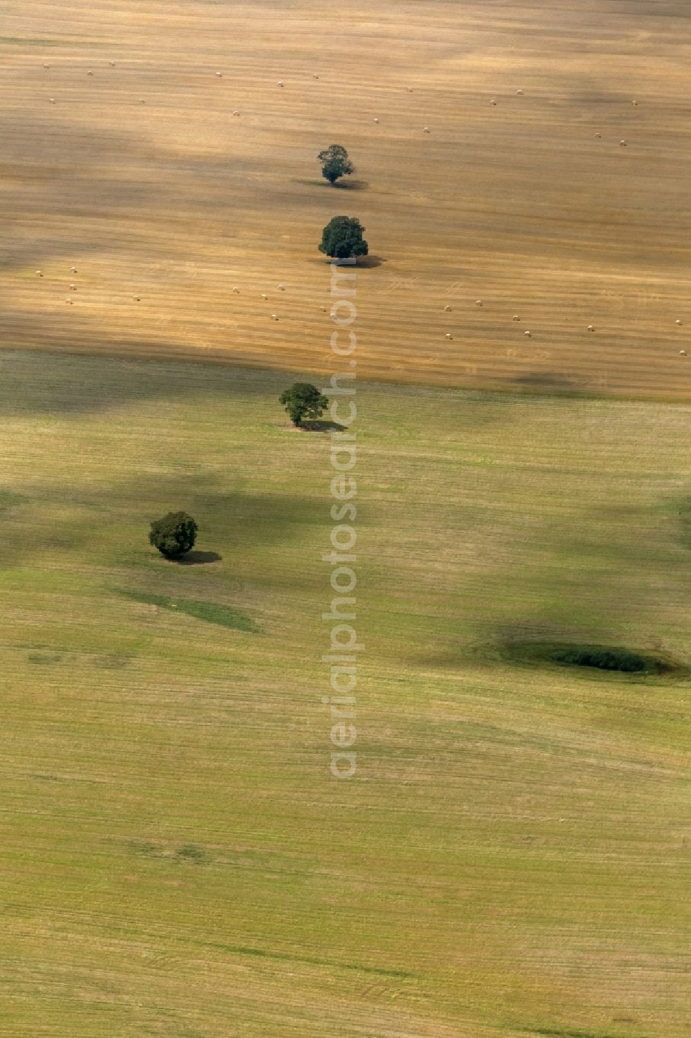 Aerial photograph Dettmannsdorf - Field - structures on harvested fields in late summer Dettmannsdorf in Mecklenburg-Western Pomerania