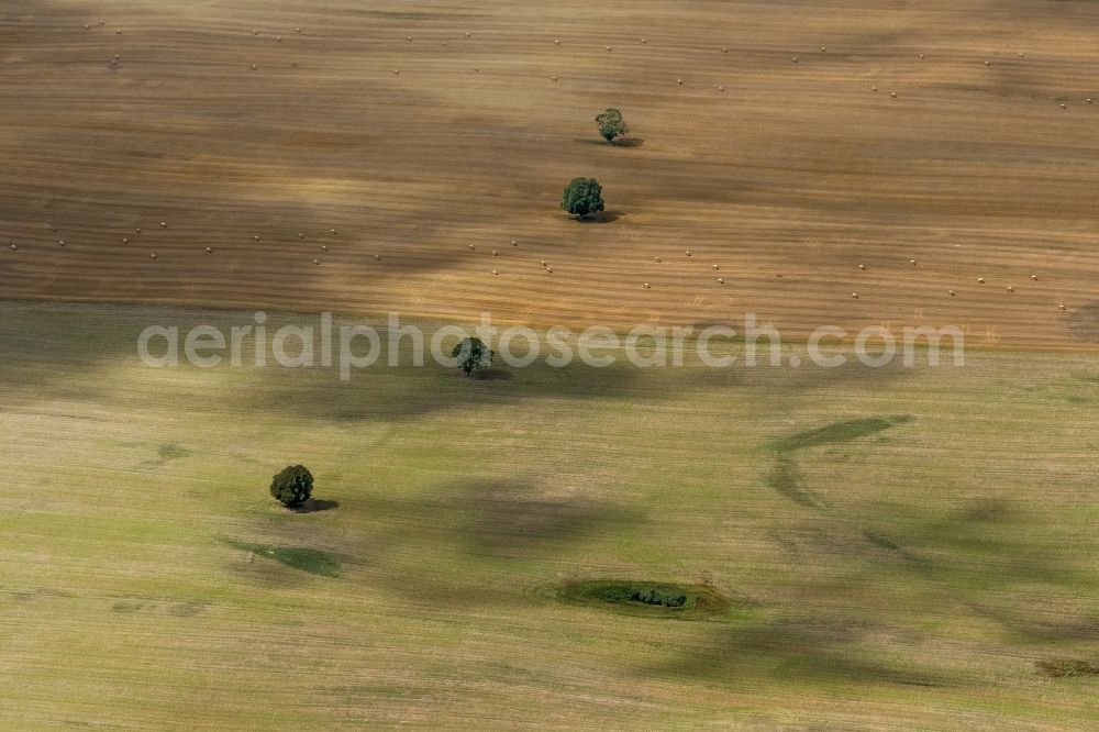 Dettmannsdorf from above - Field - structures on harvested fields in late summer Dettmannsdorf in Mecklenburg-Western Pomerania