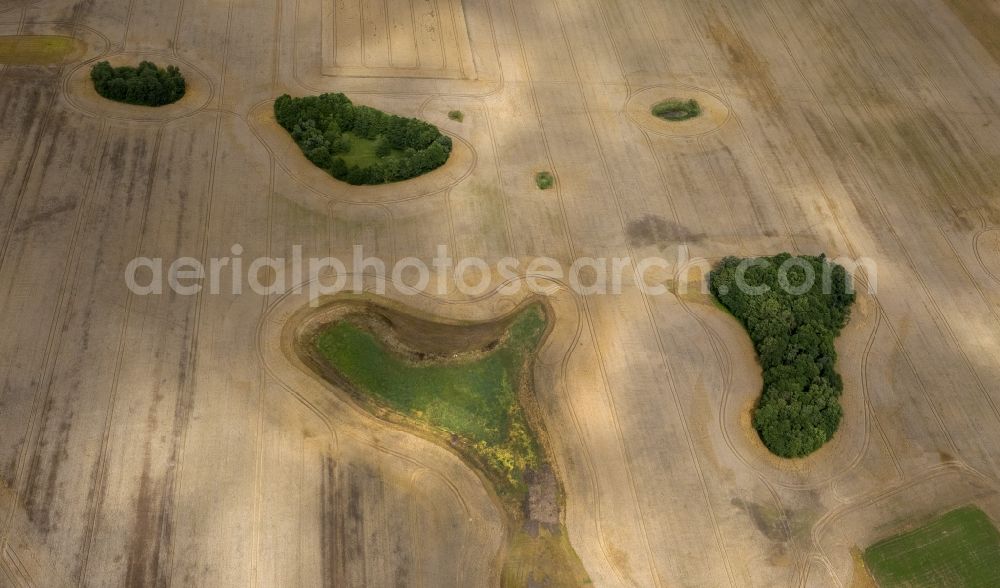 Dettmannsdorf from the bird's eye view: Field - structures on harvested fields in late summer Dettmannsdorf in Mecklenburg-Western Pomerania