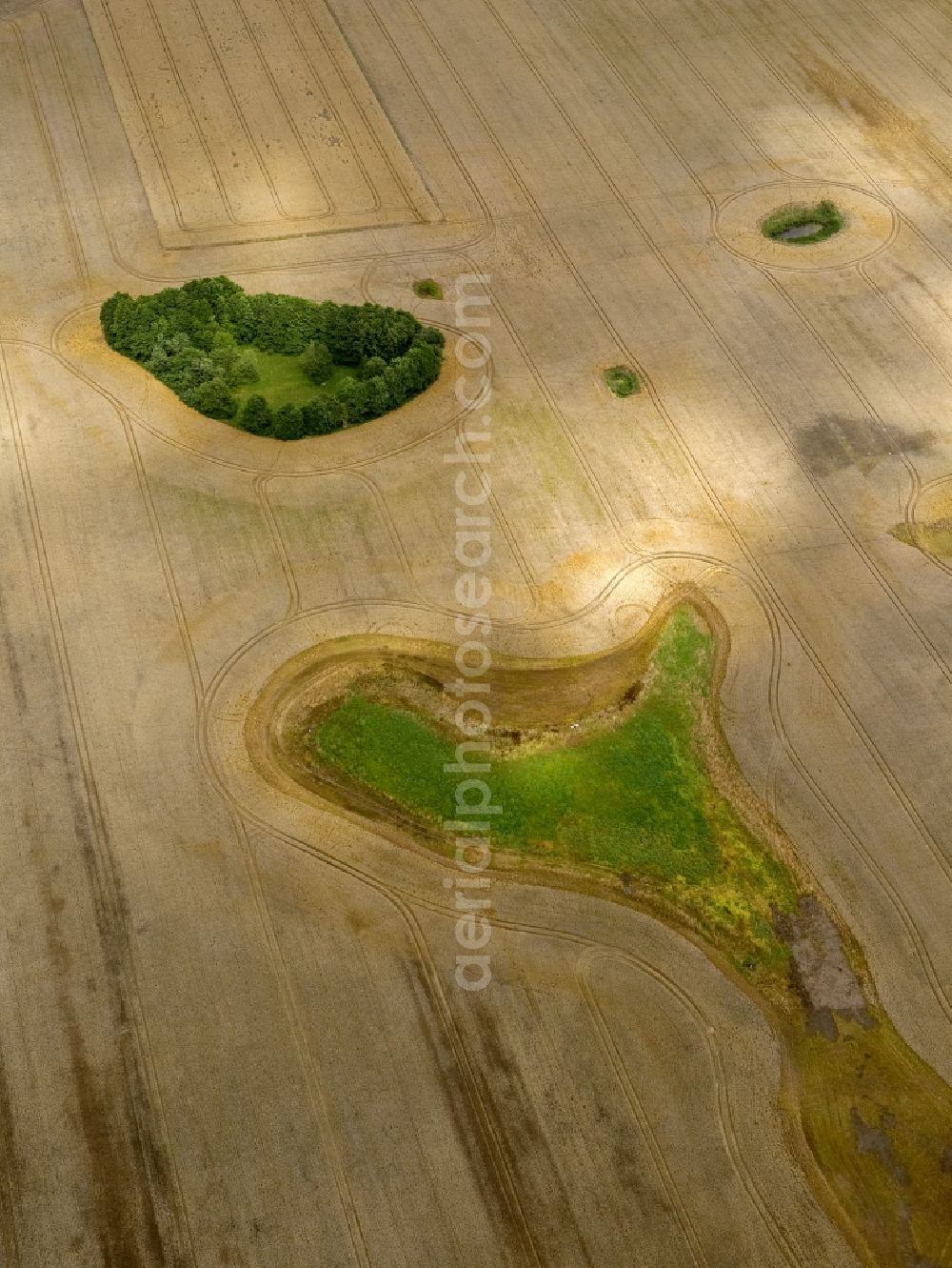 Aerial image Dettmannsdorf - Field - structures on harvested fields in late summer Dettmannsdorf in Mecklenburg-Western Pomerania