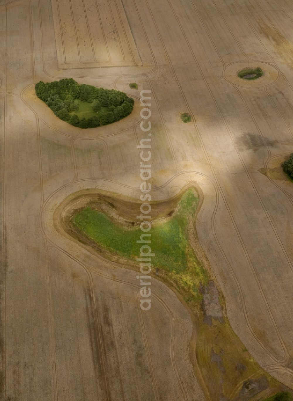 Aerial photograph Dettmannsdorf - Field - structures on harvested fields in late summer Dettmannsdorf in Mecklenburg-Western Pomerania